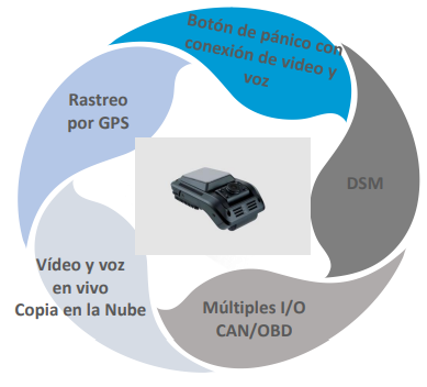 Cámara para vehículos profesionales CDP-AM08 (GPS, Wifi y 4G)